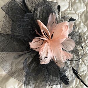 Pillbox Fascinator Veil Feather Hat